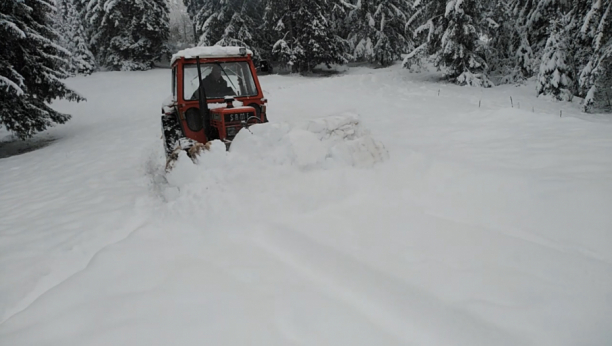 KRITIČNO U OVIM DELOVIMA SRBIJE Sneg napadao skoro pola metra, presekao puteve, oborio veliki broj stabala... (FOTO)