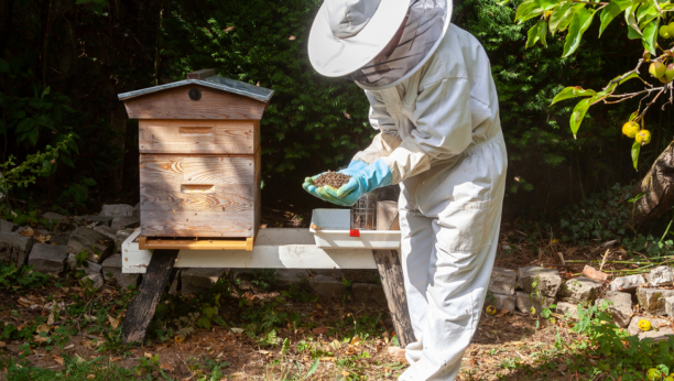 PČELARI BESNI, NAPRAVLJENA ŠTETA OD 144 HILJADE EVRA! Životinje im padaju mrtve, sumnjaju na ovo