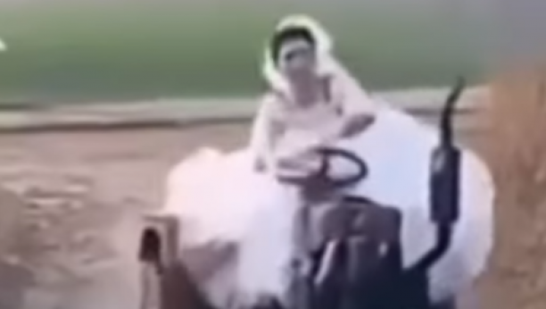 SELA NA TRAKTOR I ZAPALILA SA SVADBE Mlada za sobom podigla prašinu, pobegla u šipražje (VIDEO)